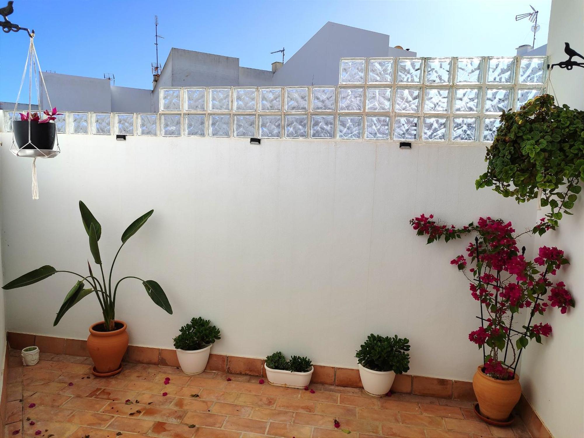 Casa Retinto Villa Vejer de la Frontera Luaran gambar